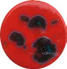 Lady Bird